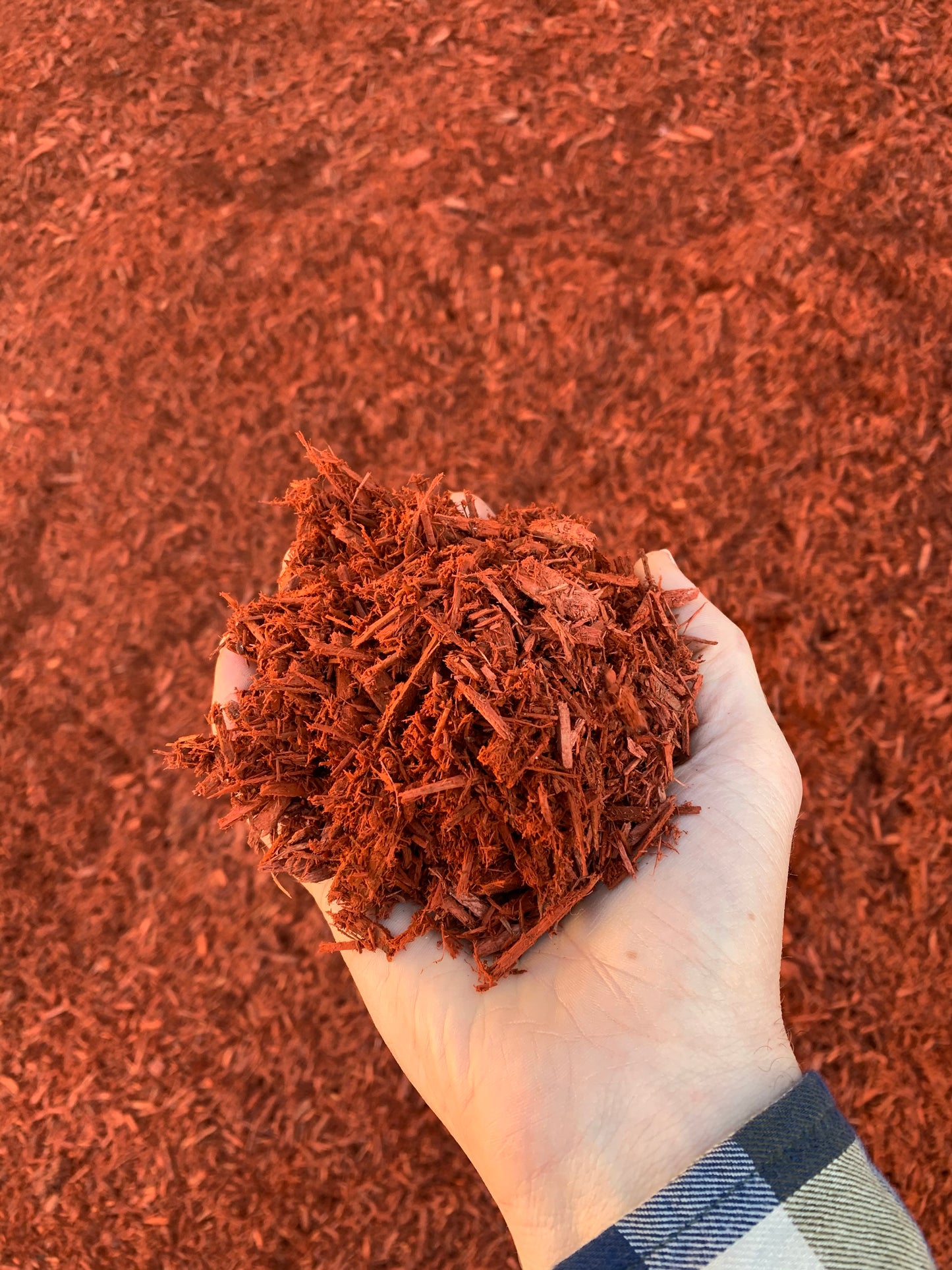 Red Mulch