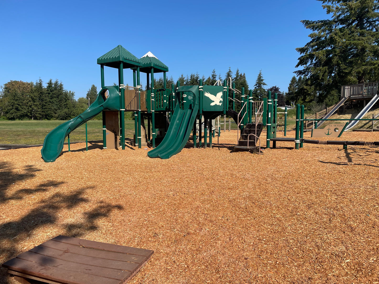 Playground Mulch