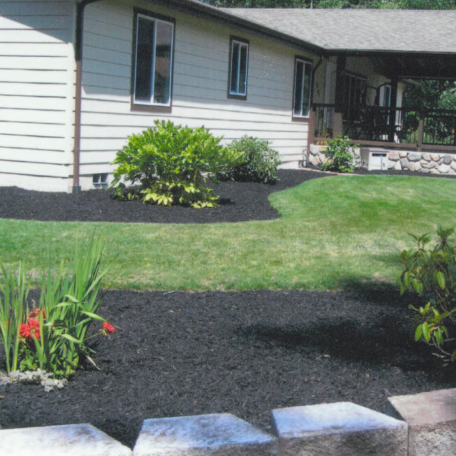 Black Mulch