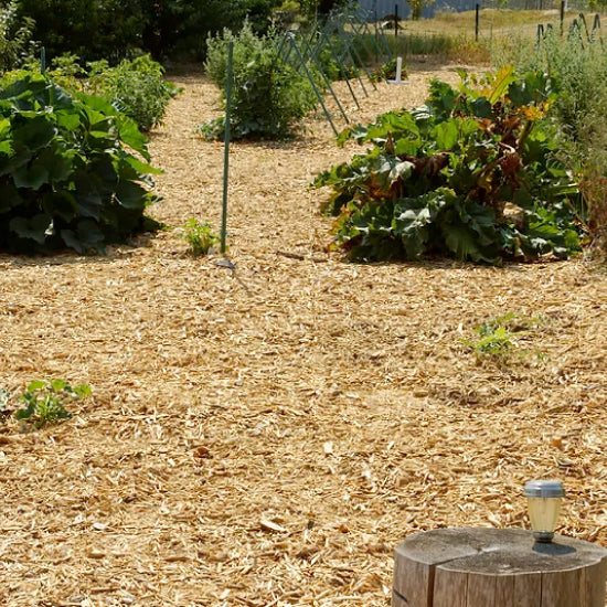 Natural Medium Mulch