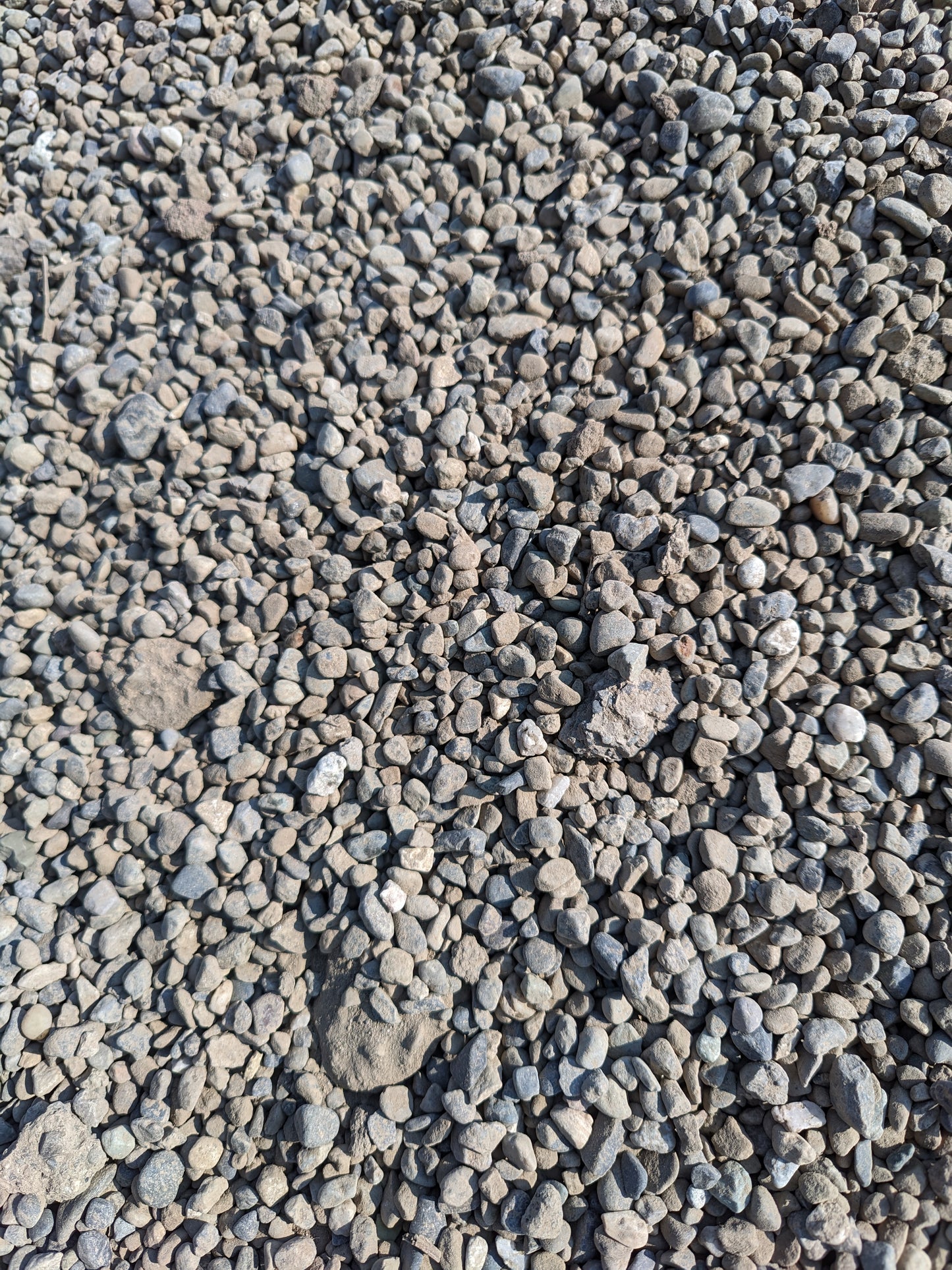 Economy Pea Gravel