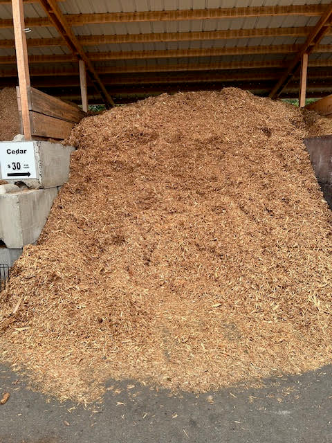 Cedar Mulch